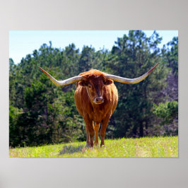 Póster Red Hired Texas Longhorn
