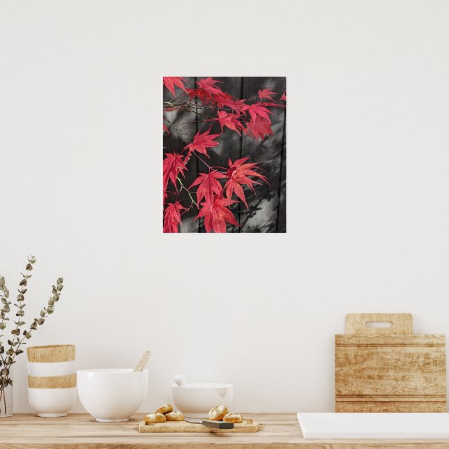 Poster Red Japanese Maple Leaf Shadows (Cozinha)