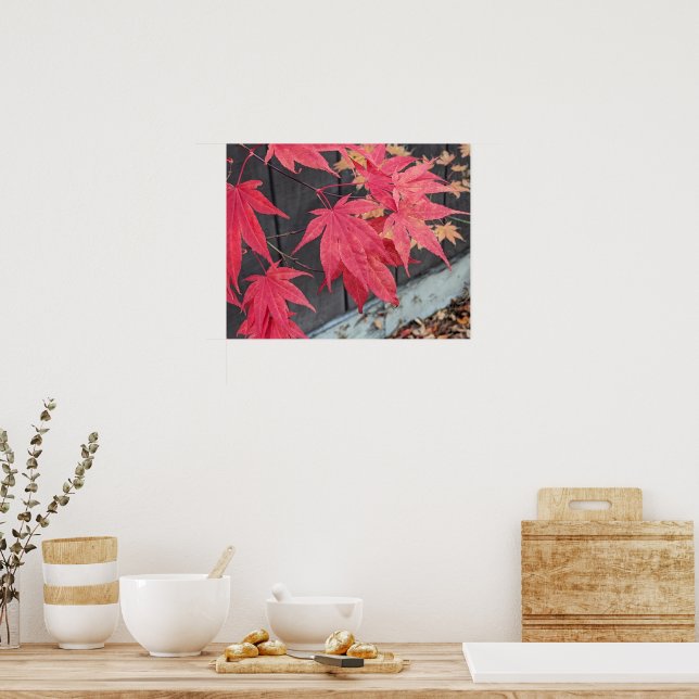 Poster Red Japanese Maple Leaves Botancial (Cozinha)