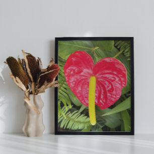 Póster Red Laceleaf Bloom Floral