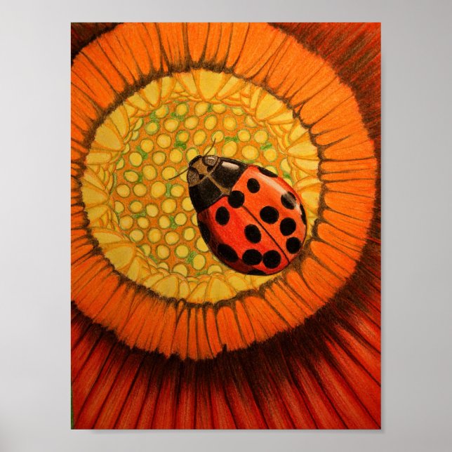 Poster Red Lady Bug Em Uma Zinnia (Frente)
