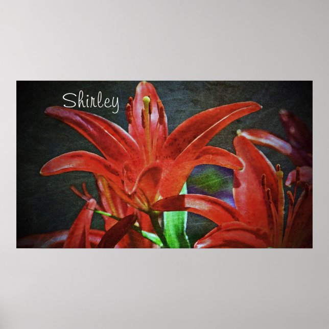 Poster Red Lily Texturizada por Shirley Taylor (Frente)
