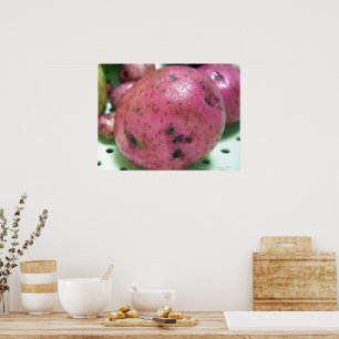 Poster Red Norland potato