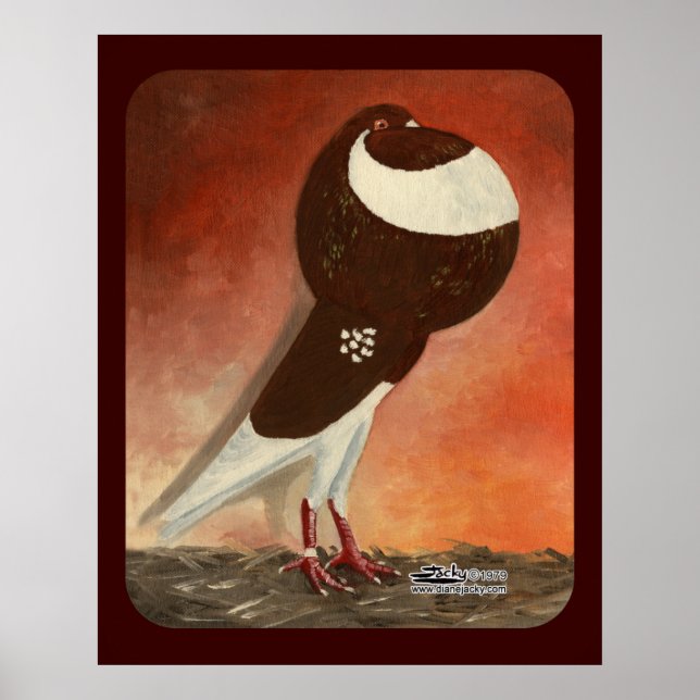 Póster Red Norwich Cropper Pigeon (Frente)