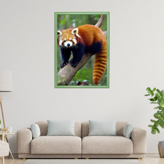 Poster Red Panda