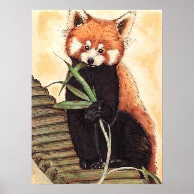 Poster Red Panda Nom (Frente)