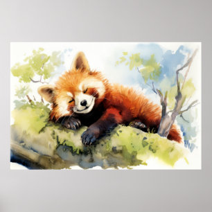 Poster Red Panda Relaxando No Jardim Animal Divertido Fel