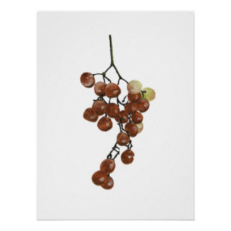 Póster Red Peppercorns - Botanical Print 2