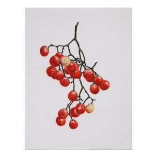 Póster Red Peppercorns - Botanical Study 1