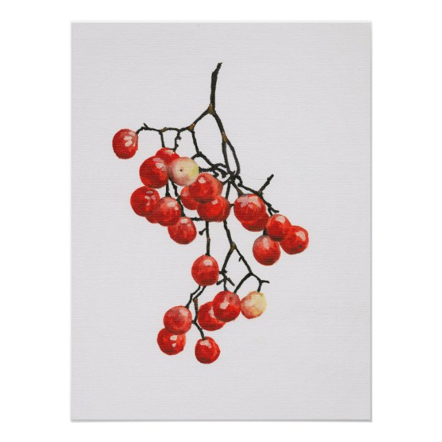 Póster Red Peppercorns - Botanical Study 1 (Frente)