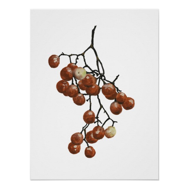 Póster Red Peppercorns - Botanical Study 1 (Frente)