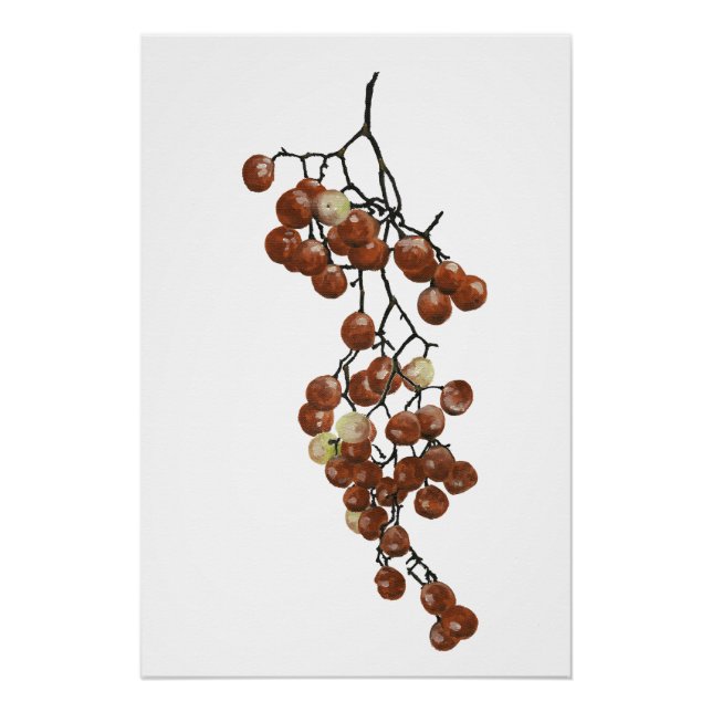 Póster Red Peppercorns - Botanical Study 3 (Frente)