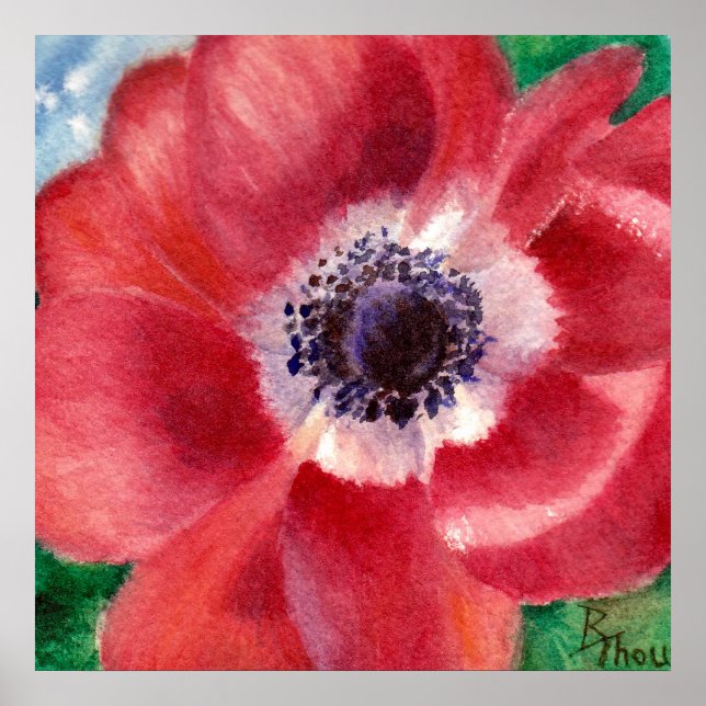 Poster Red Poppy (Frente)
