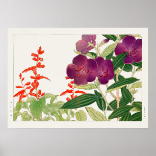 Poster Red Salvia e Purple Melastoma por Tanigami Konan