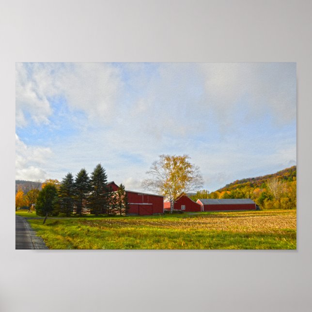 Poster Red Vermont Barns no outono (Frente)