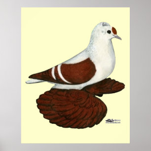 Póster Red Wing Pigeon