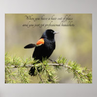 Red Winged Blackbird - Dia de Cabelo Mau Humor