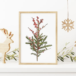 Poster Red Winter Berries and Pine
