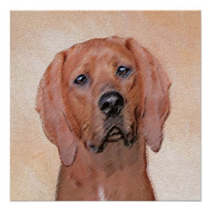 Póster Redbone Coonhound Painting - Arte De Cachorro Orig