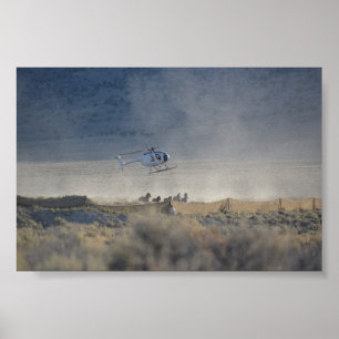 Poster Redondo-acima triplo de Nevada do vale do