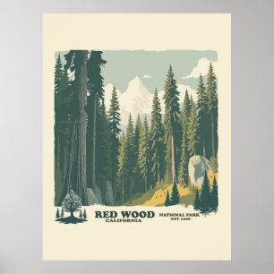 POSTER REDWOOD CALIFORNIA NATIONAL PARK