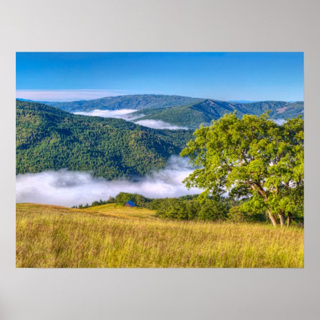 Poster Redwood National Park, Califórnia (Frente)