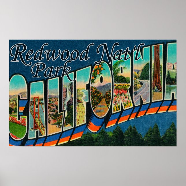 Póster Redwood Nat'l Park, Califórnia (Frente)