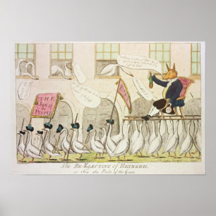 Poster Reeleição de Reynard ou Fox