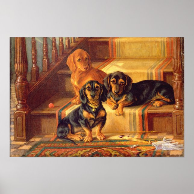 Póster Refinidades faseáveis (Frente)