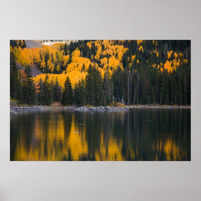 Poster Reflexão (Frente)