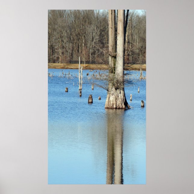 Póster Reflexão (Frente)