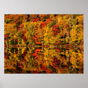 Poster Reflexão de Outono no Russell Pond   New Hampshire