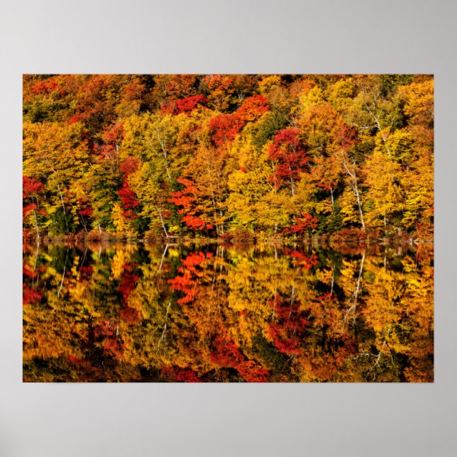 Poster Reflexão de Outono no Russell Pond | New Hampshire (Frente)
