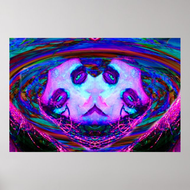 Póster Reflexão do Espelho (Frente)