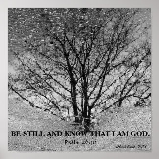 Poster Reflexão em árvore branca e preta