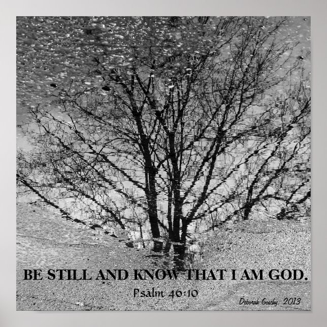 Poster Reflexão em árvore branca e preta (Frente)