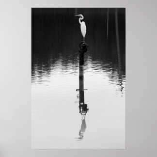 Póster Reflexão Estática