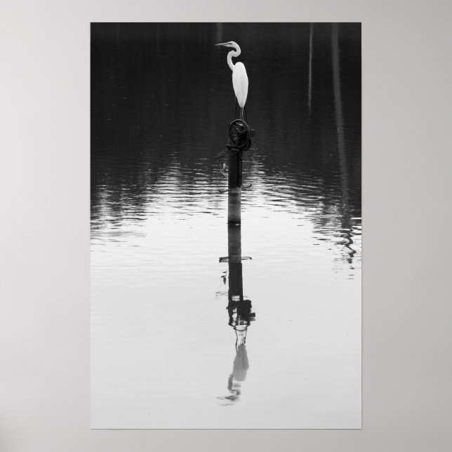 Póster Reflexão Estática (Frente)