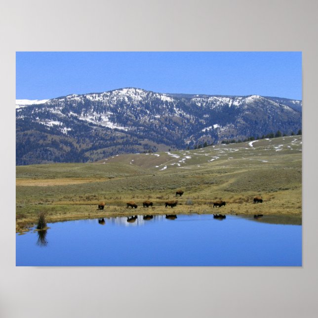 Poster Reflexão Natural (Frente)