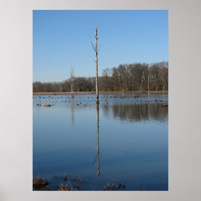 Póster Reflexão singular (Frente)