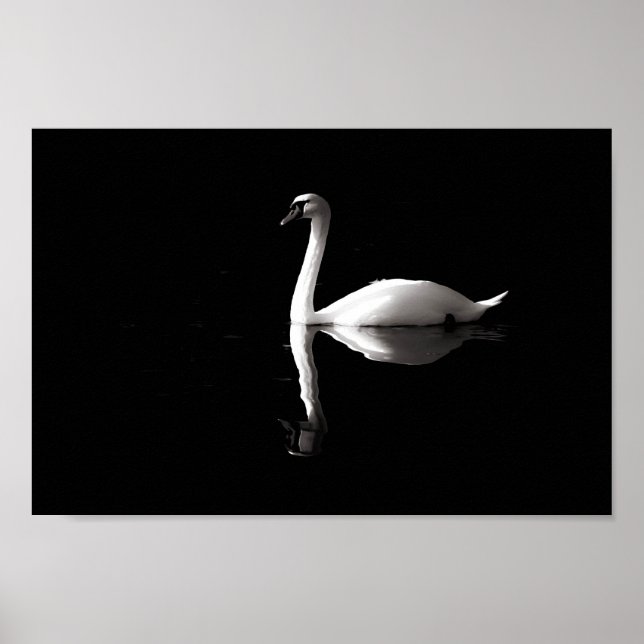 Poster Reflexão Swan (Frente)