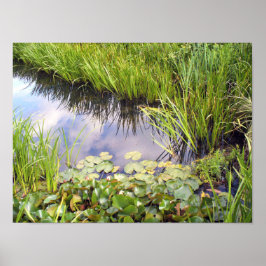 Poster Reflexion des Himmels im Veja mit Lilien