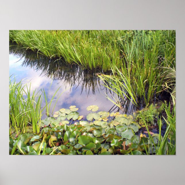 Poster Reflexion des Himmels im Veja mit Lilien (Frente)