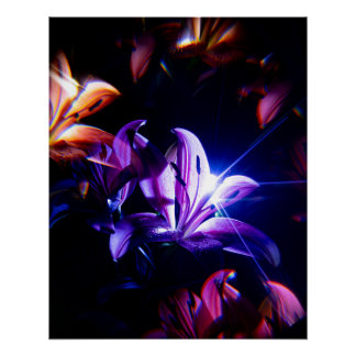 Póster Reflexo de Lírios Rosa com Raios de Luz