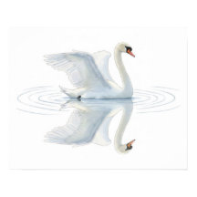 Reflexo do Cisne