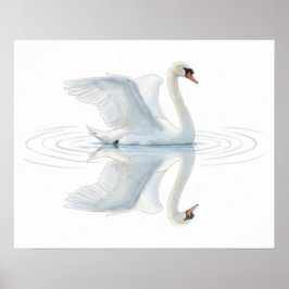 Poster Reflexo do Cisne