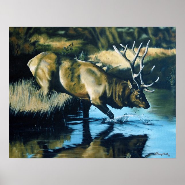 Póster Reflexões (Frente)