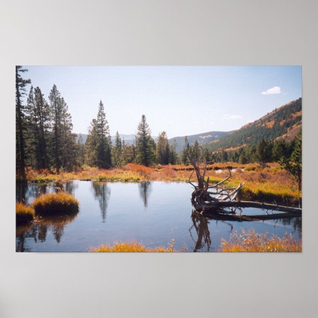 Póster Reflexões (Frente)