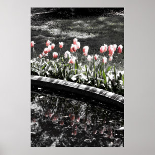 Poster Reflexões da tulipa