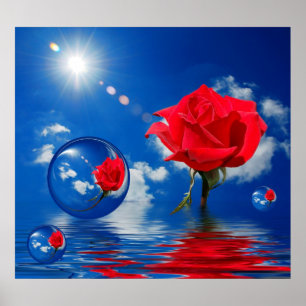 Póster Reflexões de flutuação do amor